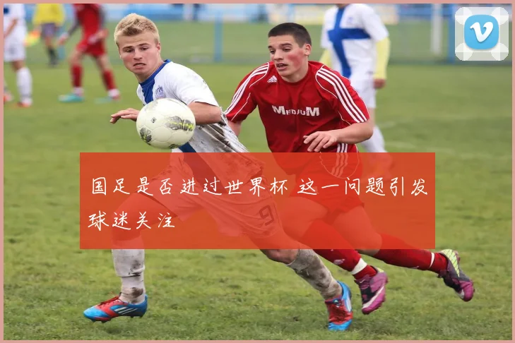 国足是否进过世界杯 这一问题引发球迷关注